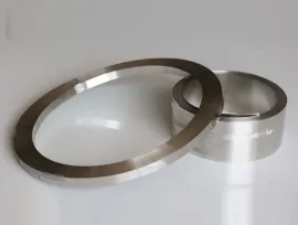 Market Analysis of China&#039;s Mini Hose Clamp Industry