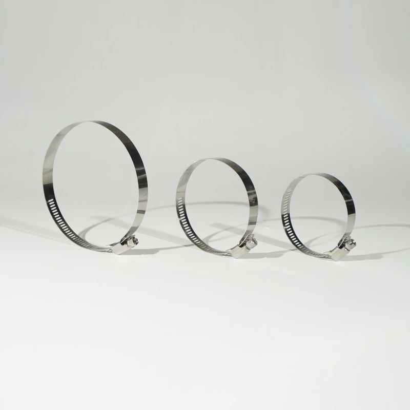 Stainless steel 304 hose clamps