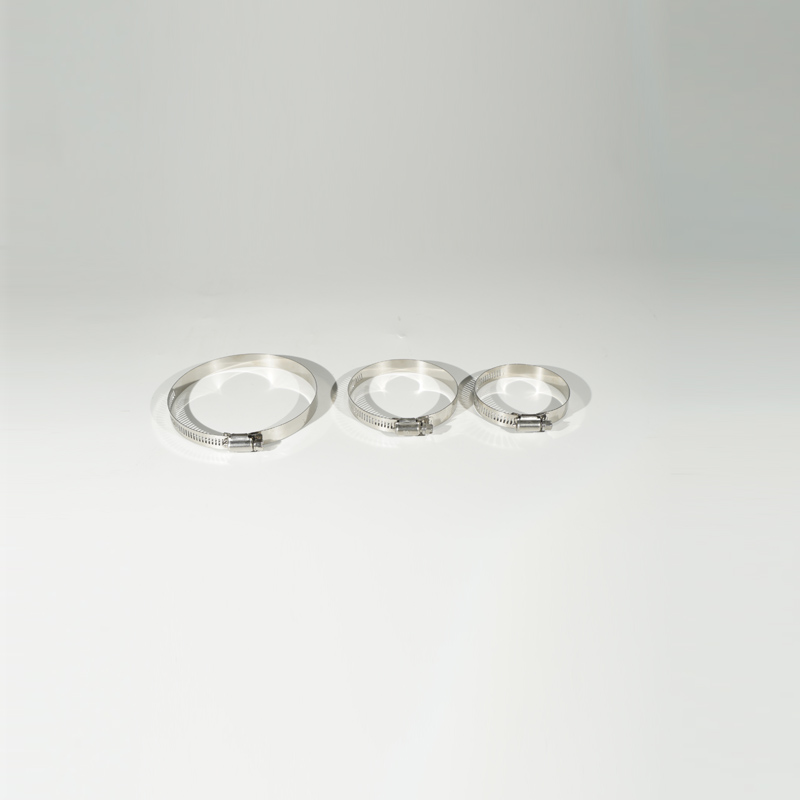 high quality stainless steel double wire hose clamps