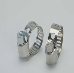 hose clamp worm gear