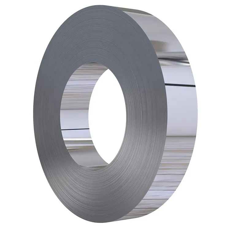 ss hose clip