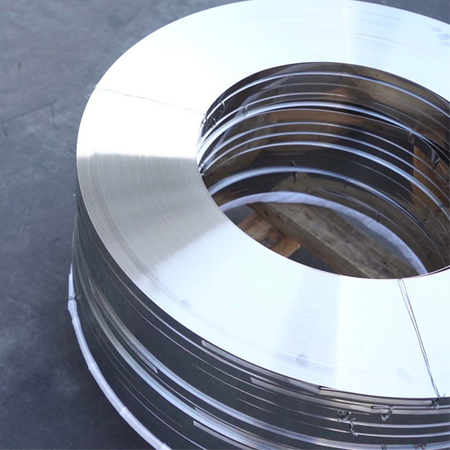 ss hose clip