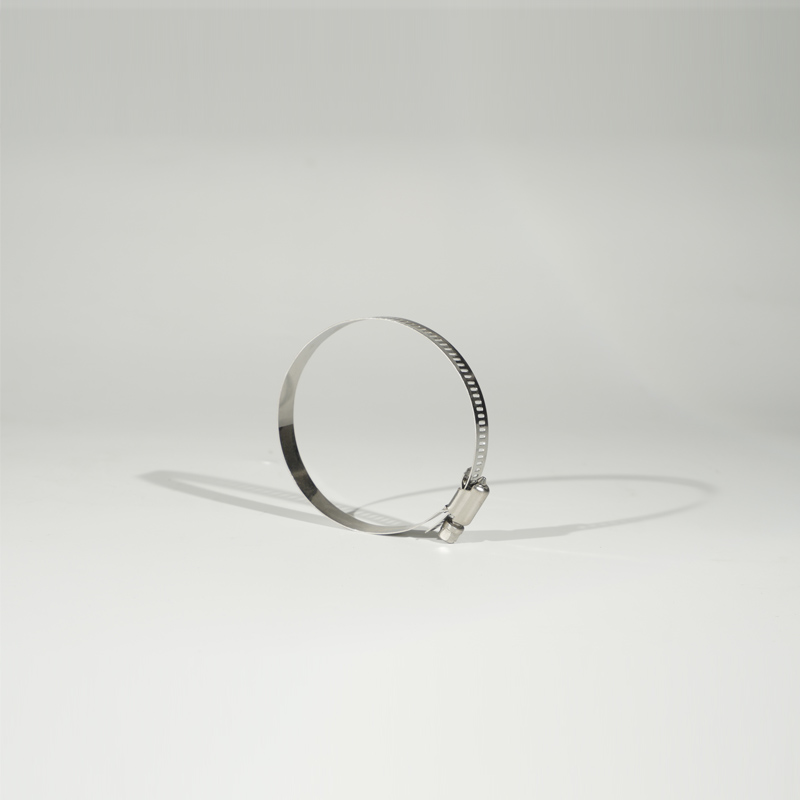 hose clamp canadian tire